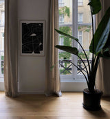 Belle Nuit - high-quality limited edition art print poster by - Maison Charlot