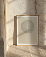 Dandelion - high-quality limited edition art print poster by - Maison Charlot